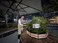 万博会場のneoharuBENCHで育樹＿松葉ペレット撒布202509