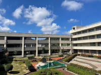 中庭
